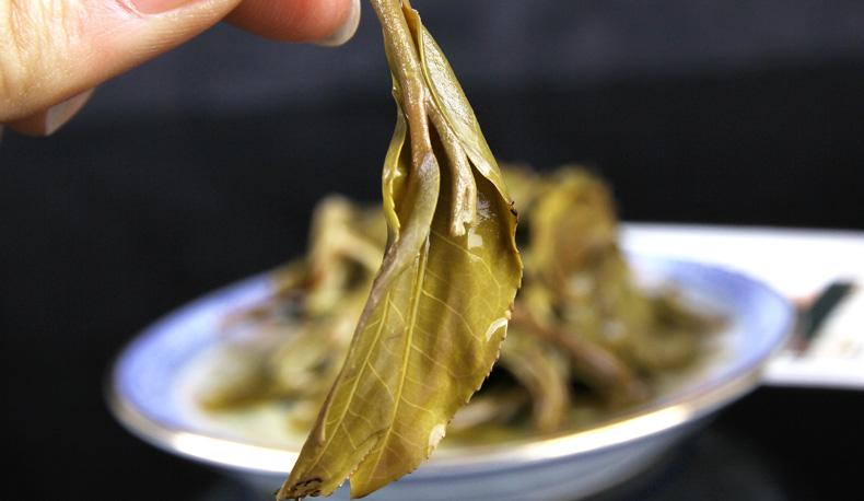 2022年冷水河古樹春茶價格？