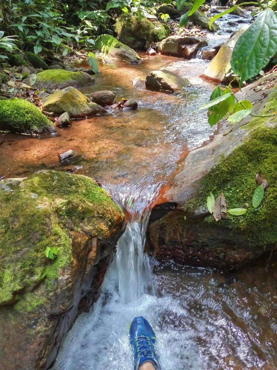 2022年銅箐河古樹春茶多少錢一公斤？