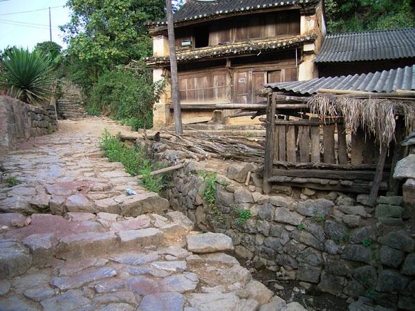 2022年蠻磚古樹(shù)春茶特點(diǎn)？