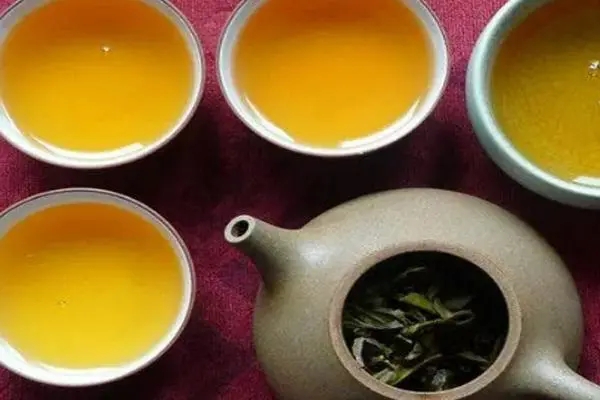 2022年普洱茶怎么泡法才正確？