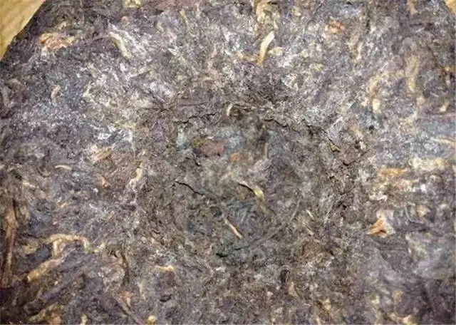 2022年普洱茶受潮發(fā)霉了怎么辦？