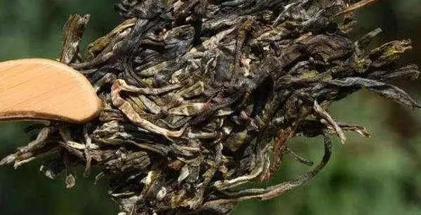 不同普洱茶生產(chǎn)地味道有哪些不同，不同派別的普洱茶味道又如何?