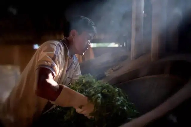 普洱茶的殺青和曬青到底是什么樣丨知識(shí)