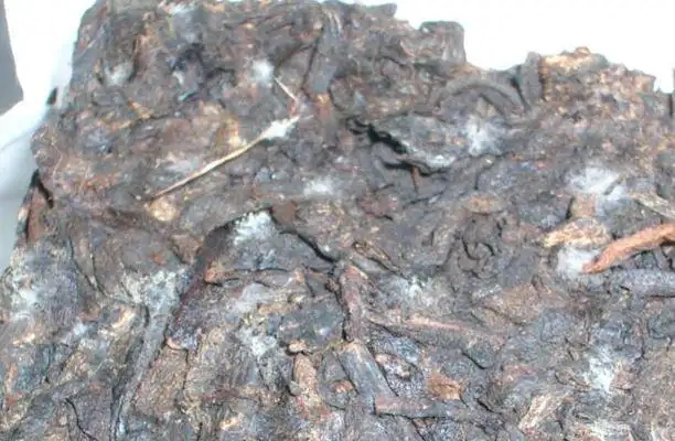 ?普洱茶發(fā)霉了怎么辦？教你妙招應(yīng)對(duì)發(fā)霉的普洱茶！