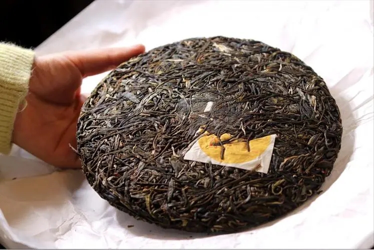 犀牛塘 | 古韻留香，帕沙之王