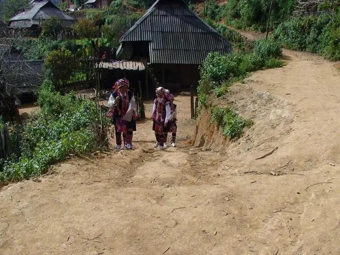 2022年的春天，古樹(shù)味道從犀牛塘開(kāi)始！