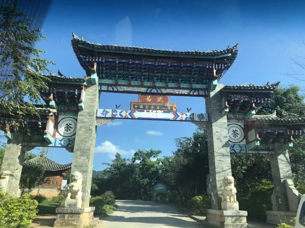 古樹(shù)茶年份越老，茶葉就越好嗎？影響茶葉品質(zhì)的因素有哪些？