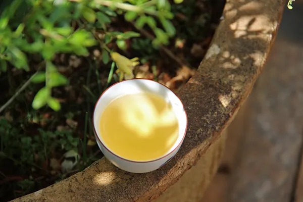 普洱茶越苦澀就代表品質(zhì)越好嗎？