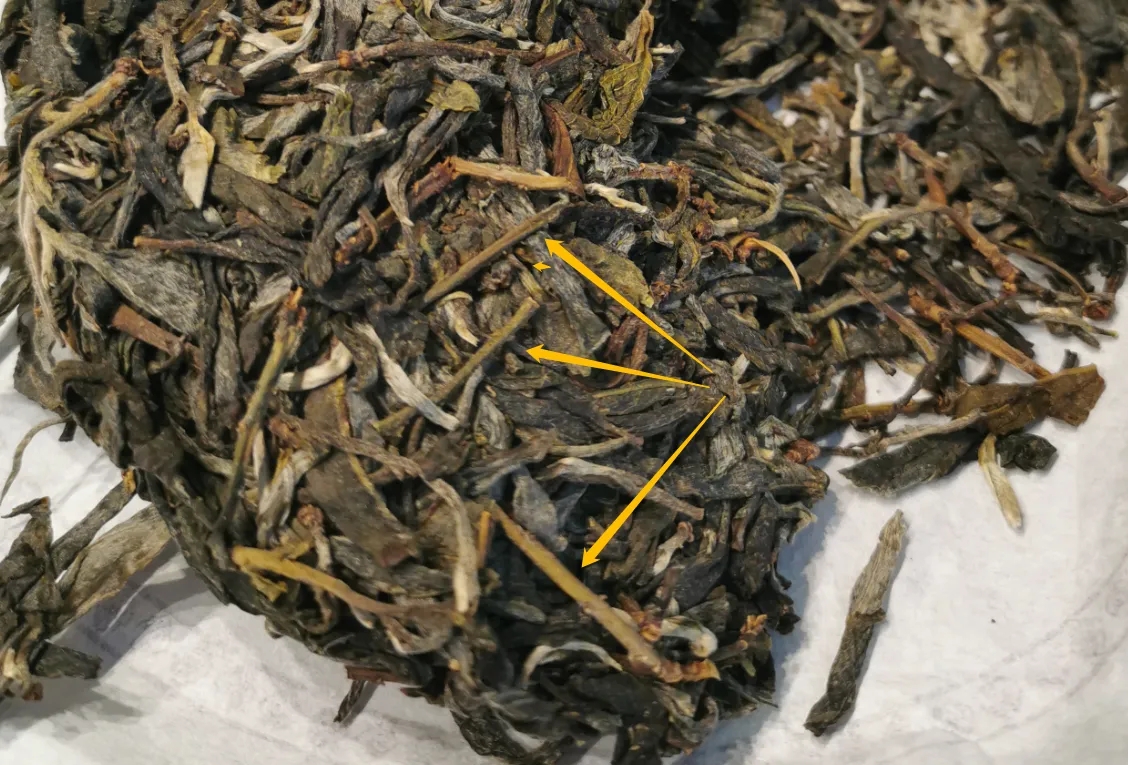 普洱茶的葉底有茶梗，就是茶不好嗎？