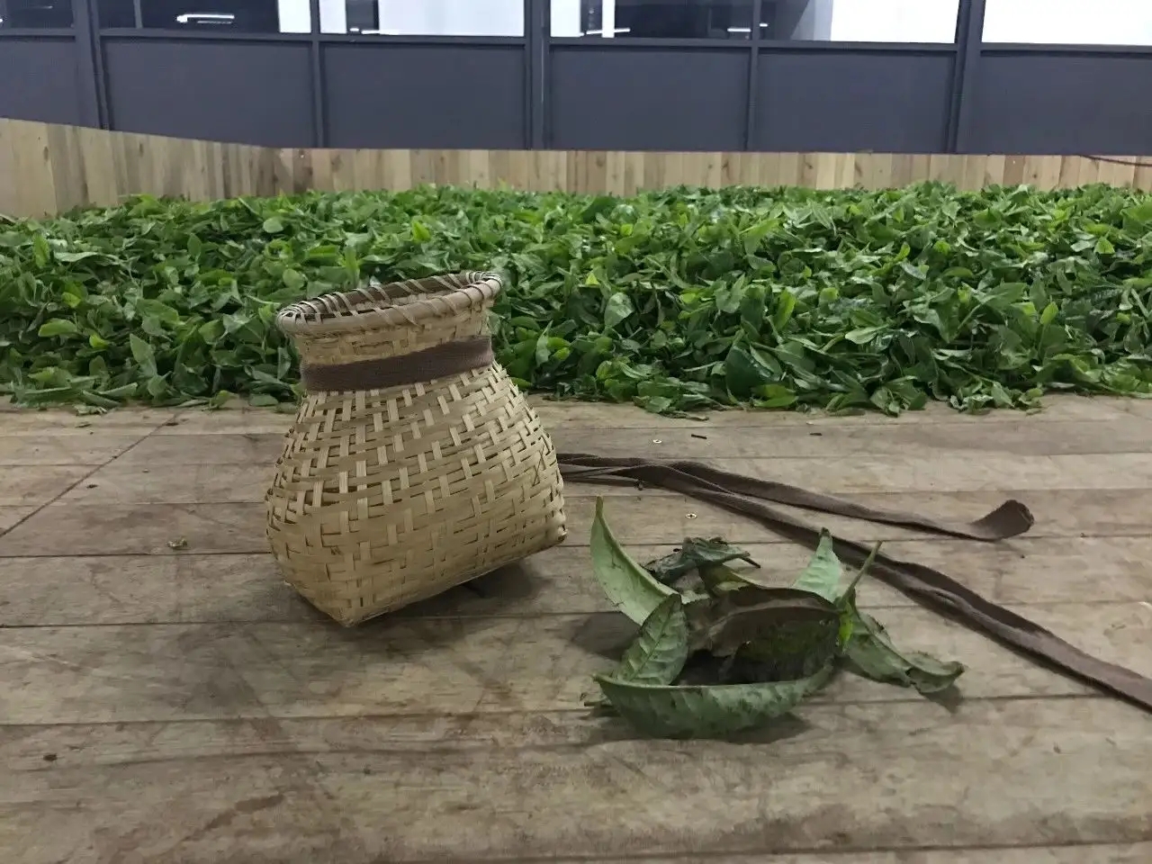 普洱茶，如果不談山頭，我們談什么？