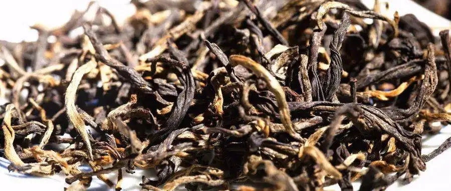 什么是茶氣？茶氣強(qiáng)勁又是一種怎樣的體驗？