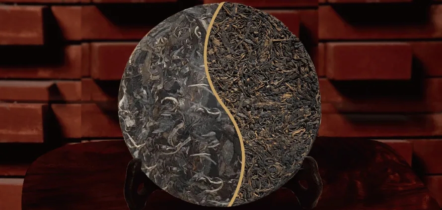 一入普門深似海？入普洱門前，你需要了解這些