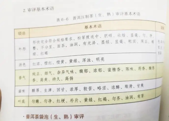 活學活用 ，一學就會的普洱茶口感術(shù)語