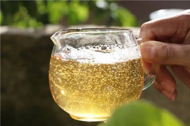 茶顏觀色”，看普洱茶條索里都蘊(yùn)含著怎樣的“密碼”？