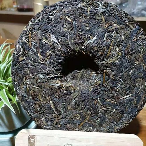 勐庫茶到底是個啥味道？