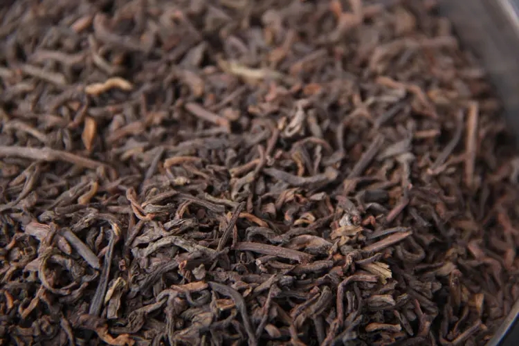 品懂熟茶丨新制的熟茶怎么品評(píng)？