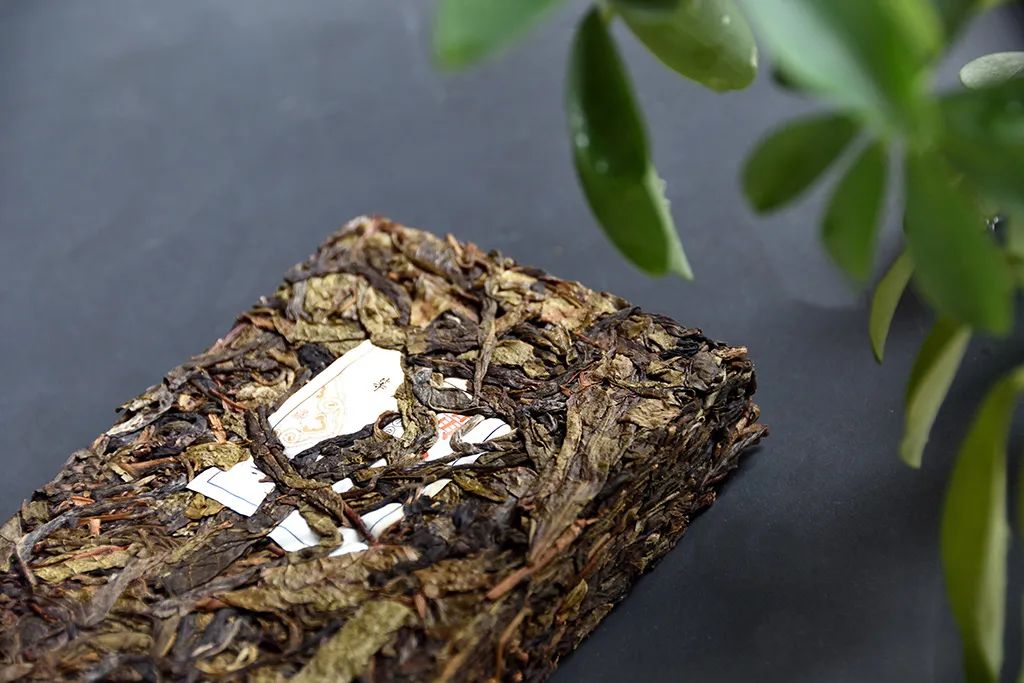 普洱茶古樹黃片，性價(jià)比超高的口糧茶，有骨有肉香甜順