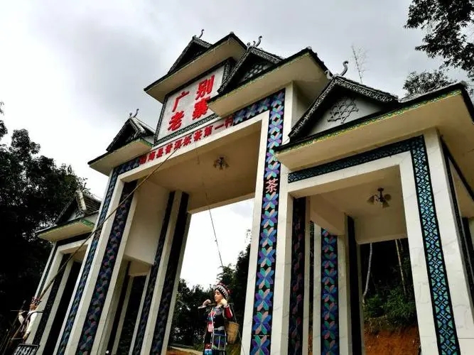 2023年廣別老寨古樹春茶品質(zhì)如何？