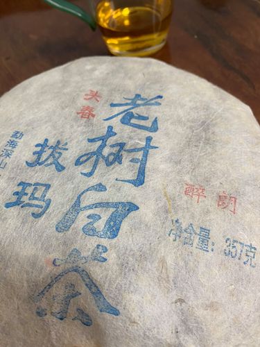 2023年拔瑪老寨古樹春茶口感如何？