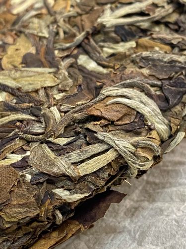 2023年拔瑪老寨古樹春茶特點是什么？