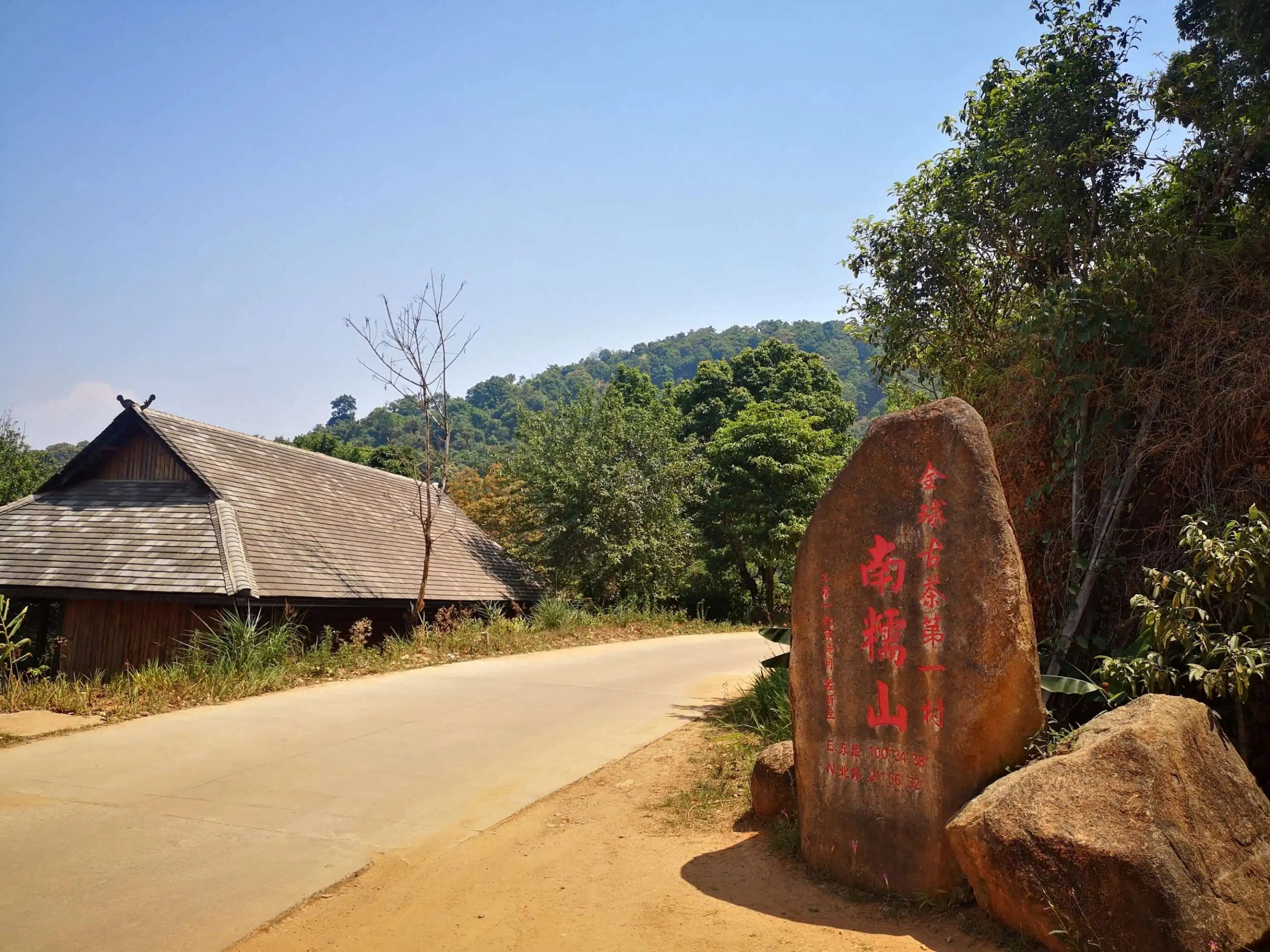 2023年南糯山古樹春茶品質(zhì)怎么樣？