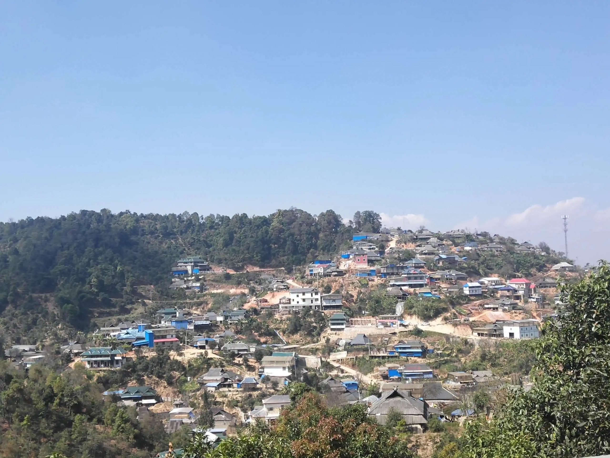 2023年帕沙古樹(shù)春茶品質(zhì)如何？