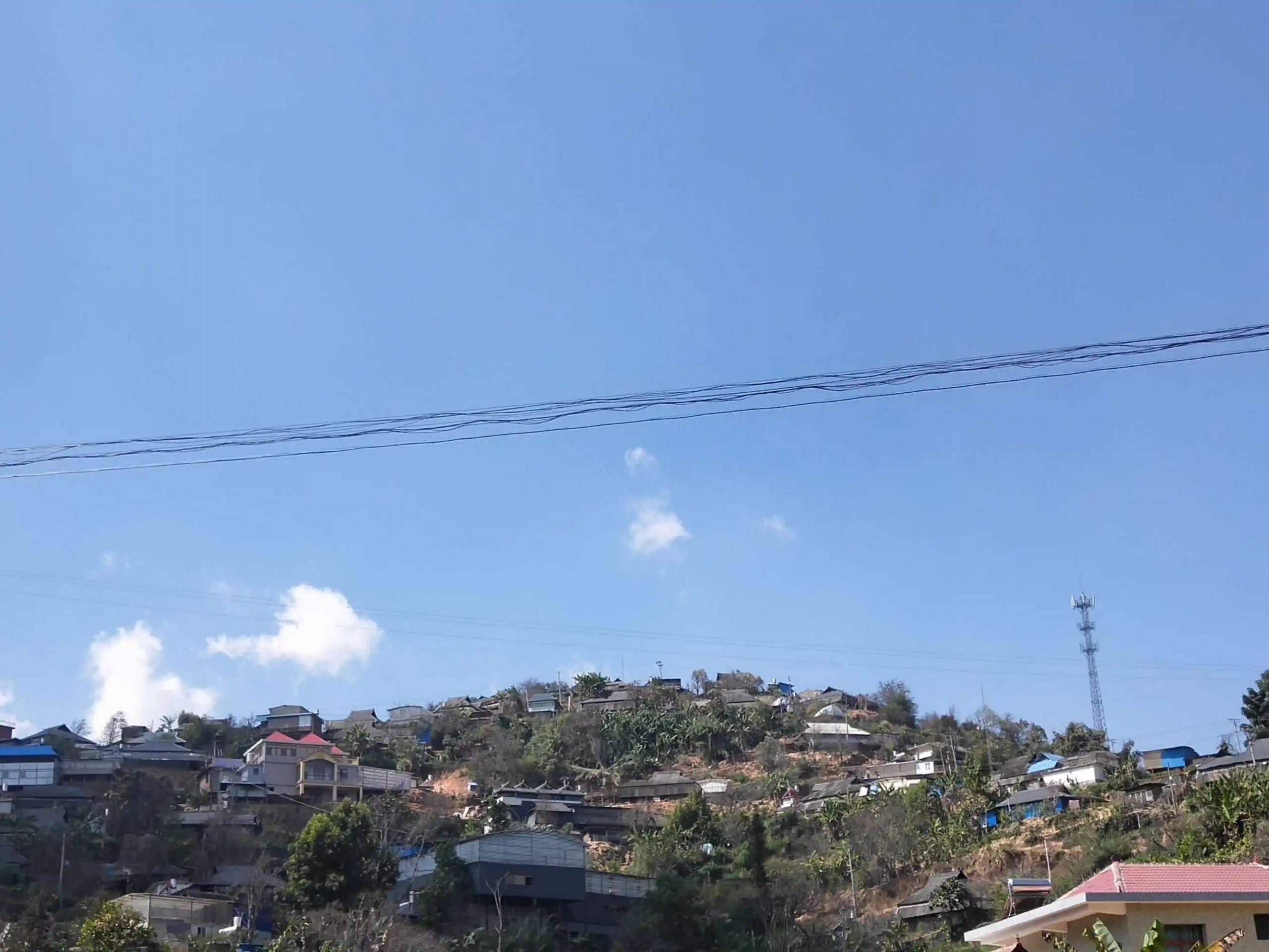 2023帕沙古樹(shù)春茶特點(diǎn)是什么？