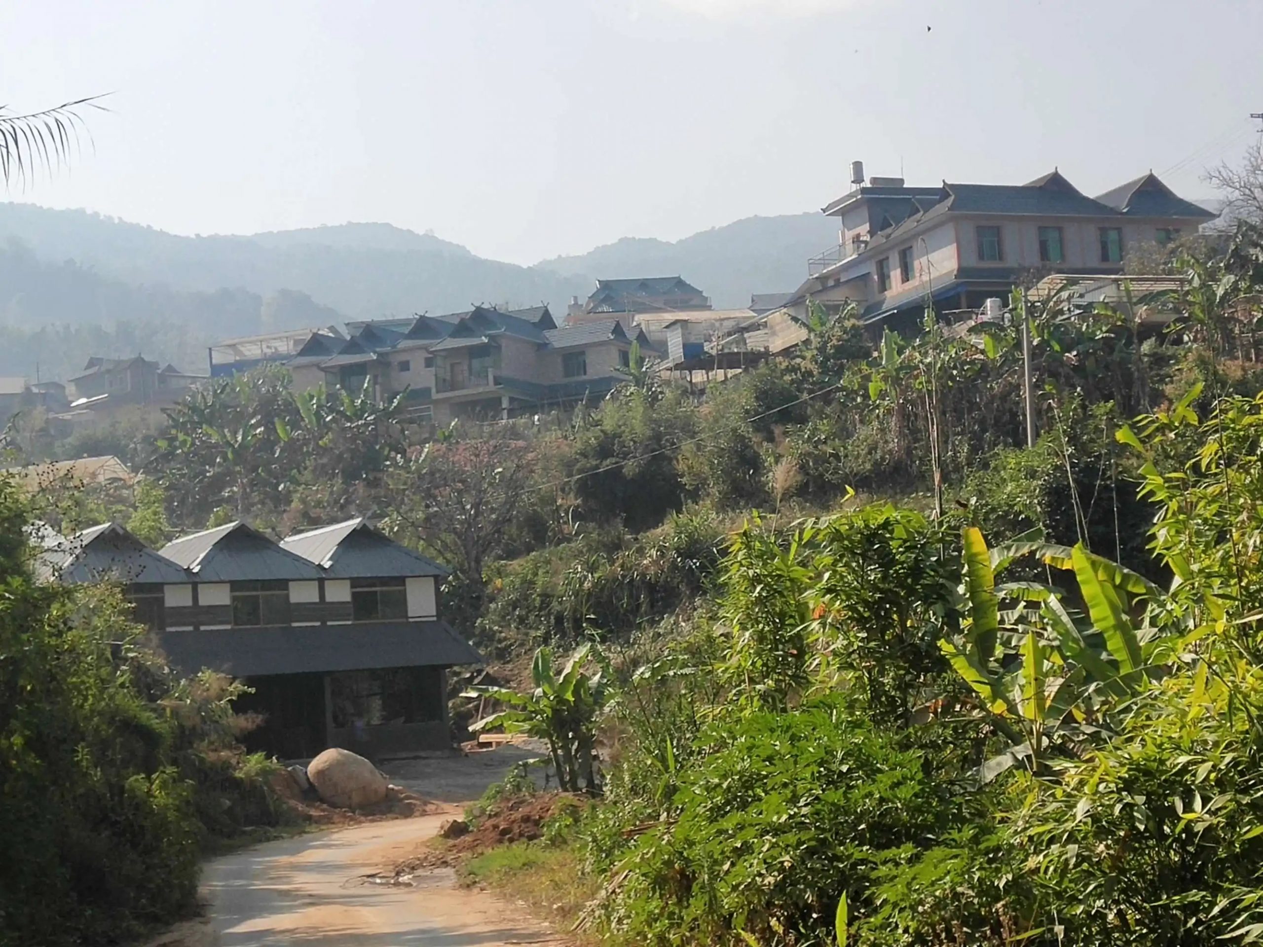 2023年帕沙古樹(shù)春茶價(jià)格多少錢(qián)？