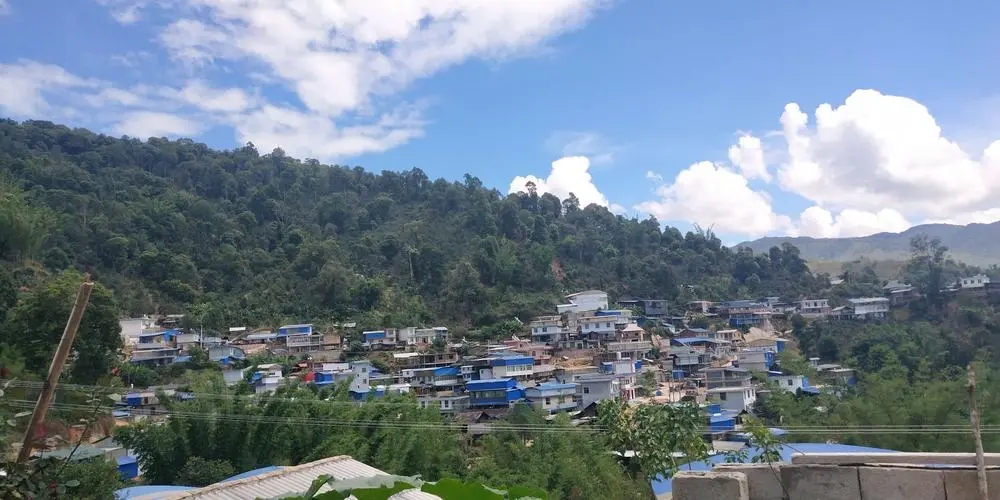 2023年那卡古樹春茶品質(zhì)如何？