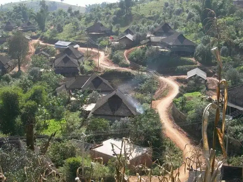 2023年保塘老寨古樹春茶品質(zhì)如何？