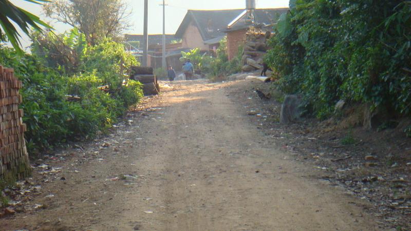 2023年保塘老寨古樹春茶價格是多少？