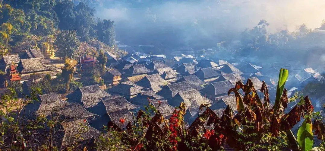 2023年景邁古樹春茶品質(zhì)如何？