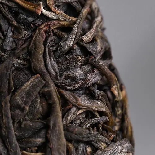 2023年迷帝古樹春茶價格是多少？