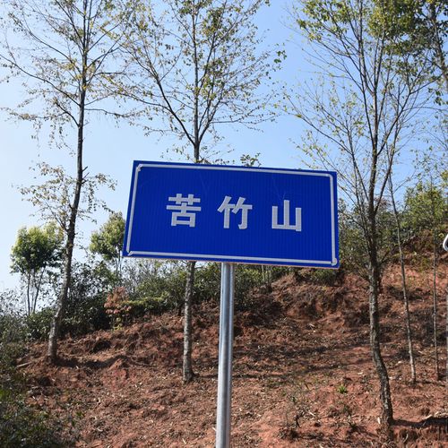 2023年苦竹山古樹春茶品質(zhì)如何？