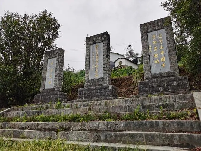 2023年白鶯山古樹春茶品質(zhì)如何？