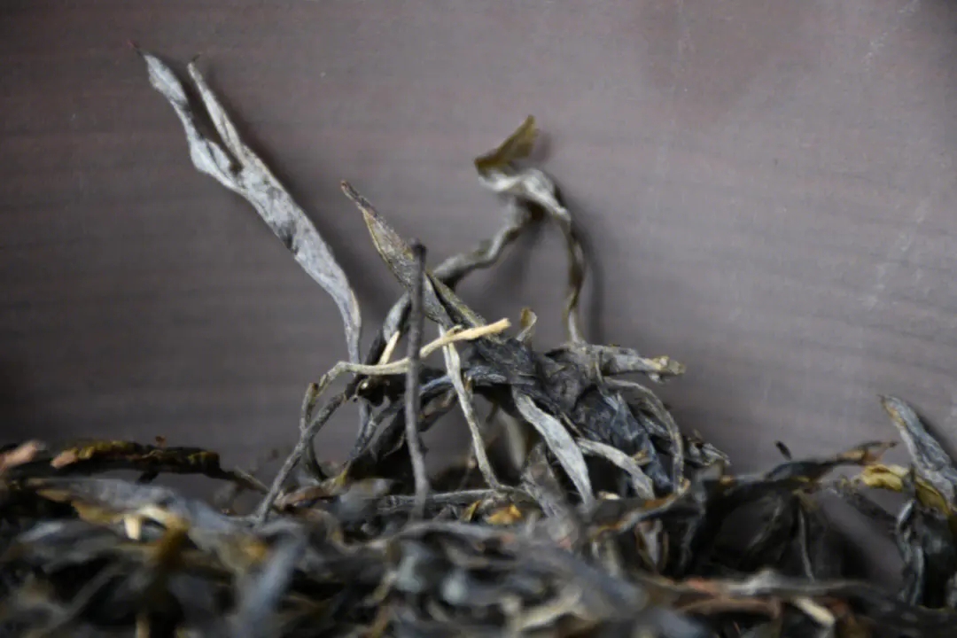 2023年正氣塘古樹(shù)春茶多少一公斤？