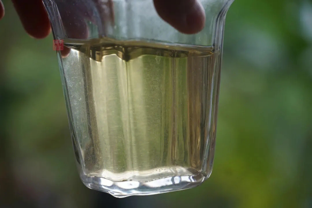 2023年多依樹(shù)古樹(shù)春茶價(jià)格是多少？