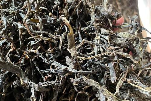 2023年鎮(zhèn)沅老烏山古樹春茶多少一公斤？