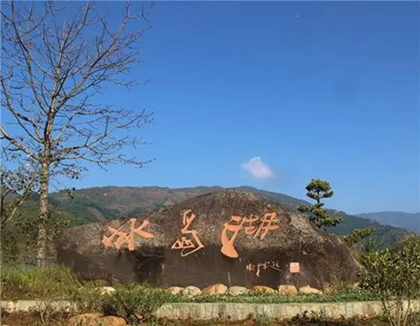 2024年冰島老寨古樹春茶品質(zhì)怎么樣？