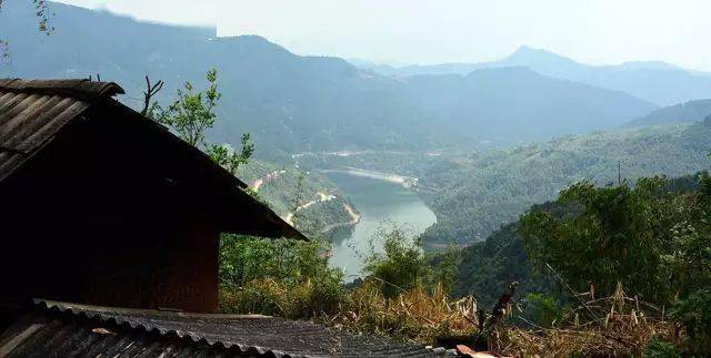 2024年磨烈古樹春茶價(jià)格多少？