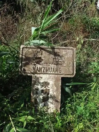 2025年蠻磚古樹春茶特點(diǎn)是什么？