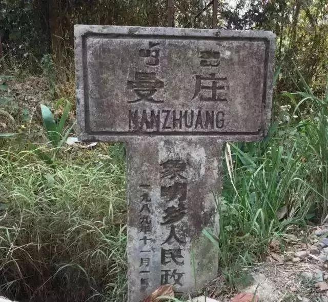 2025年蠻磚古樹春茶價格是多少？