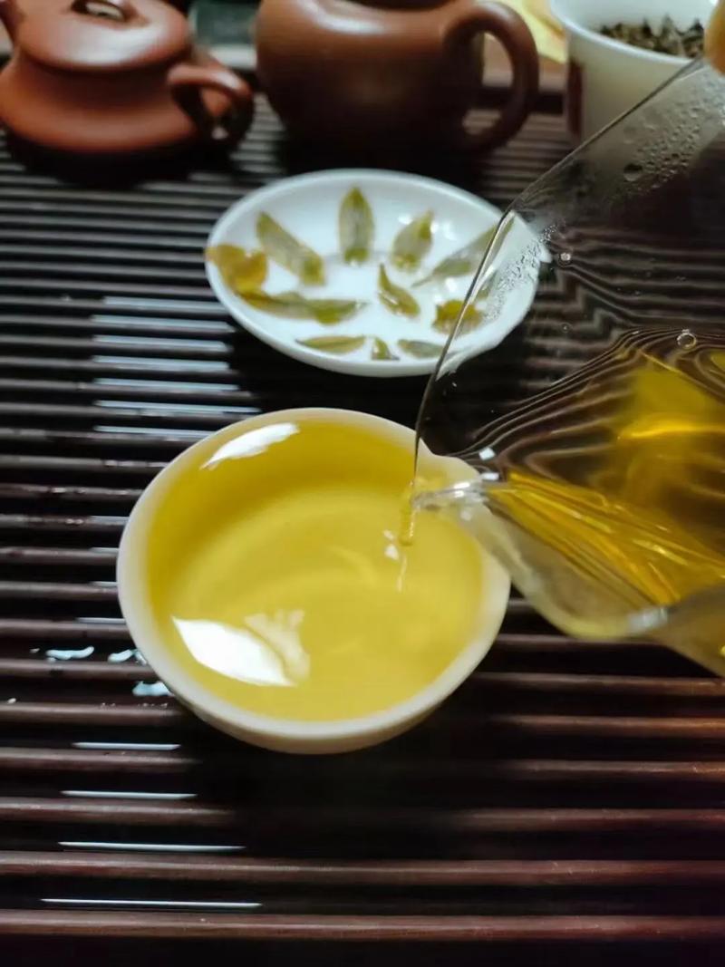 倚邦貢茶，甘甜醇柔
